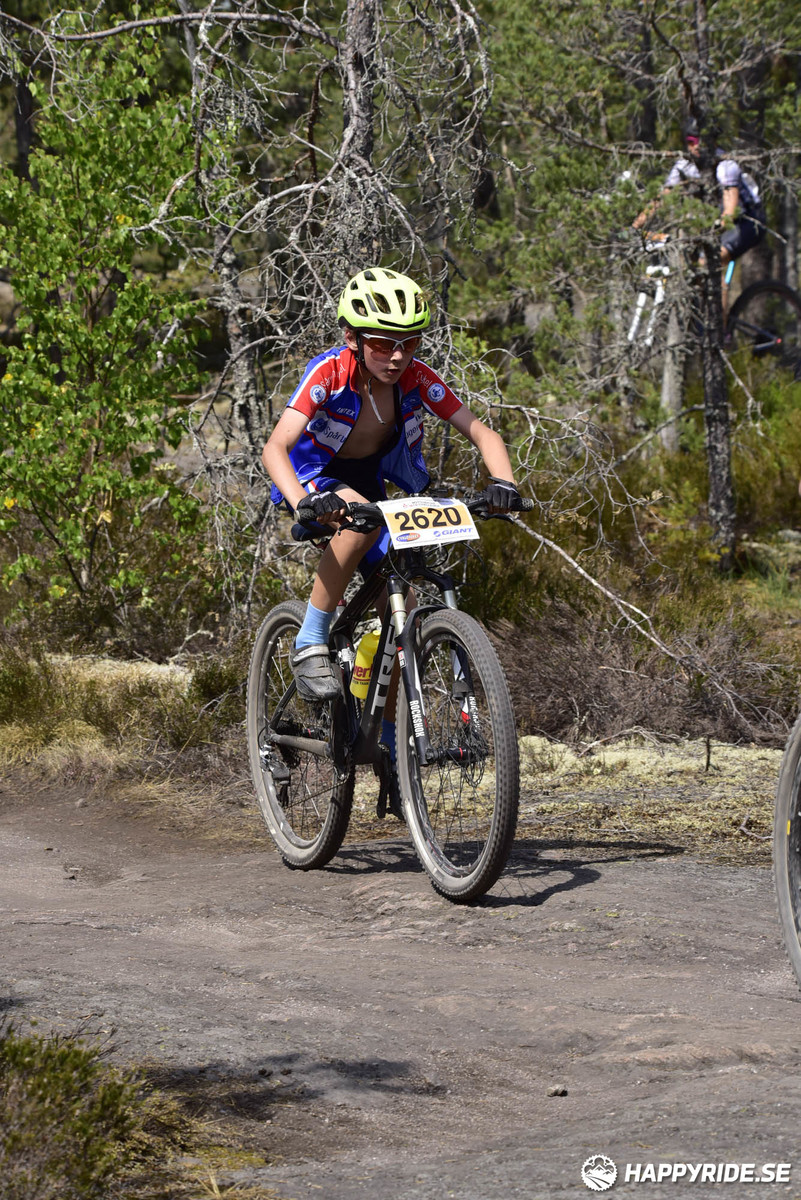 Bild från Lida Loop 2018